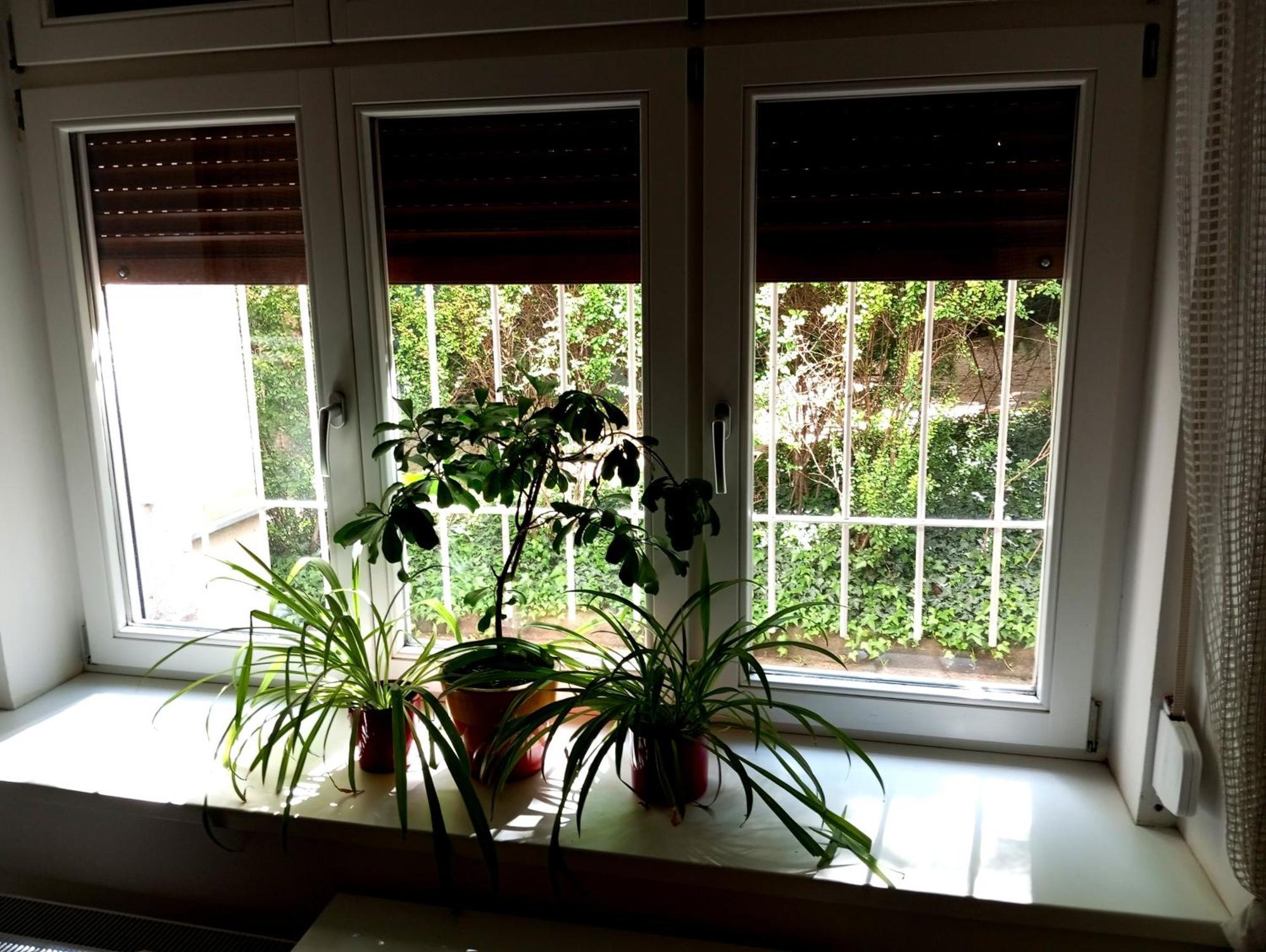 Garden Apartment Prague Extérieur photo